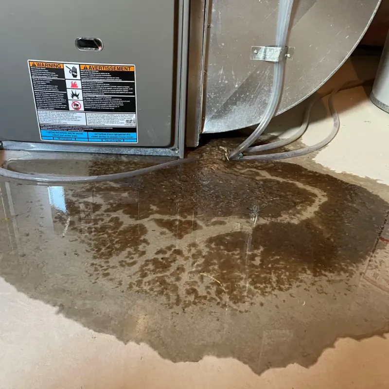 Appliance Leak Cleanup in Centre, AL